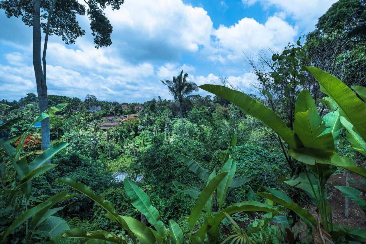 Murni'S Houses & Spa Ubud Kültér fotó